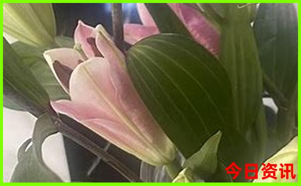 贵阳花果园有多少个区